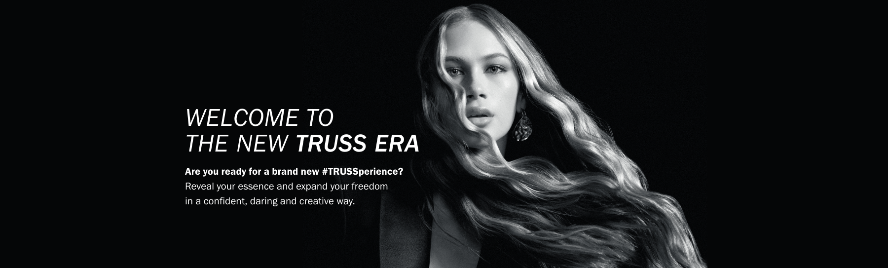 Truss Professional-2