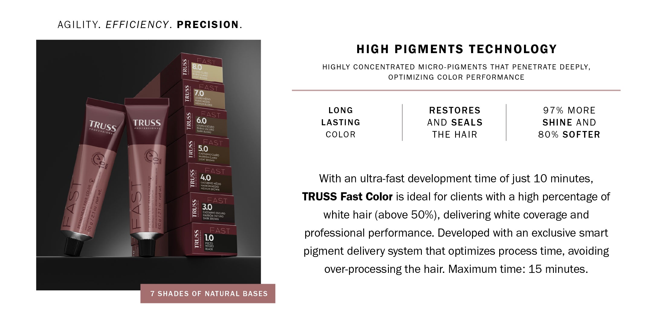 Truss Professional